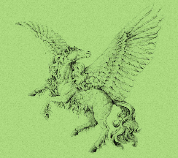 Hình ảnh được to màu nền