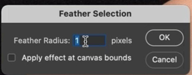 Chọn feather selection và nhập 1 pixel