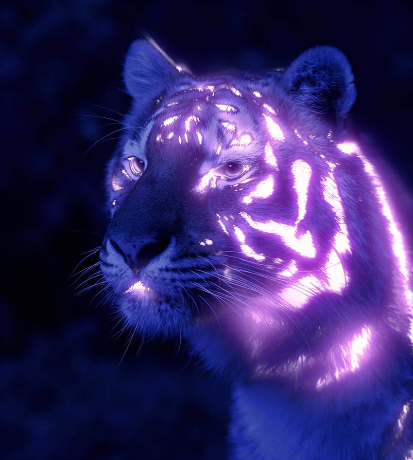 Thêm ánh sáng vào những khu vực muốn thêm