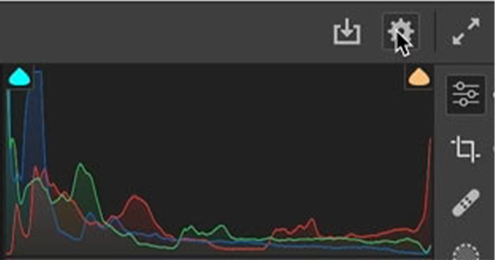 Nhấp vào bánh răng ở trên cùng bên phải trong Camera Raw