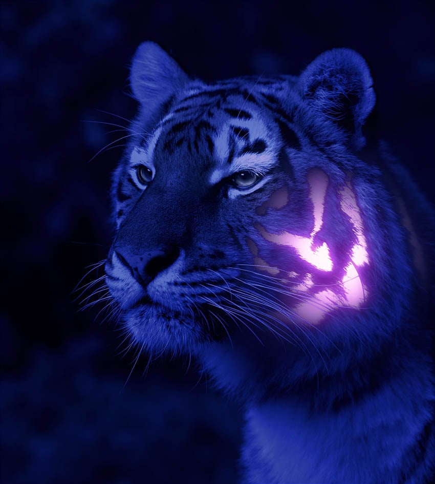 Sử dụng Brush tròn