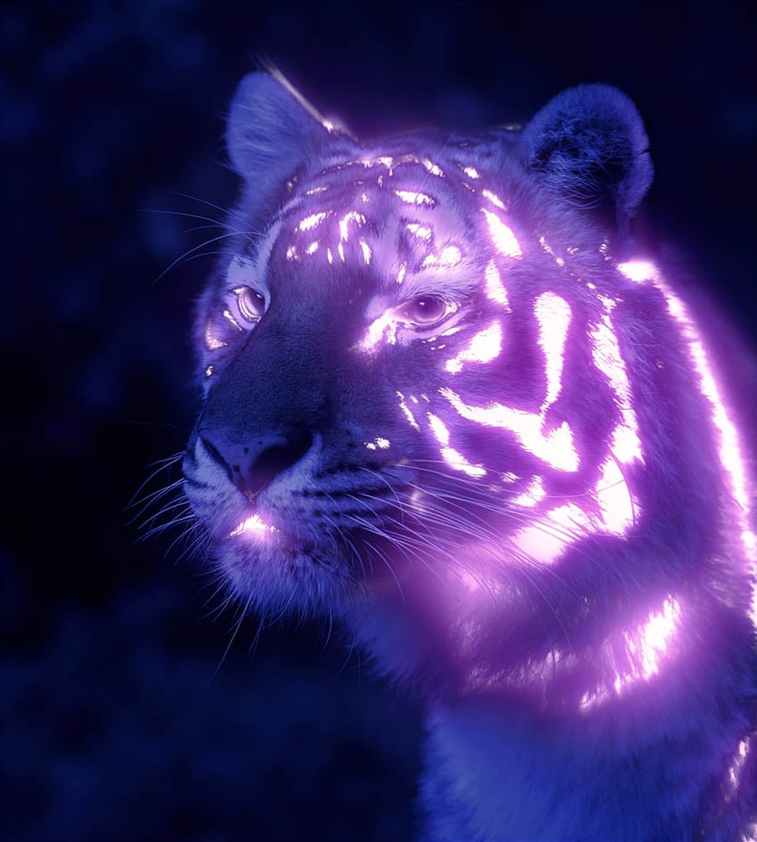 Thêm một lớp được đặt vào Screen