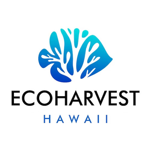 Thiết kế logo bởi FDS™